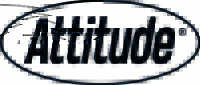 Logo Bootleg